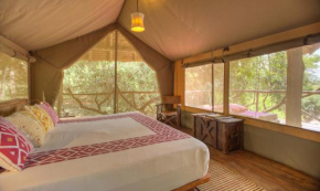 Отель Basecamp Masai Mara  Talek